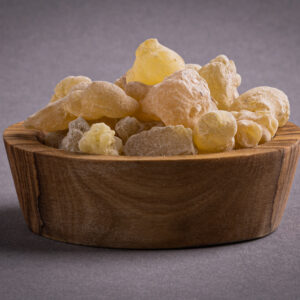 Oman Ecclesia (Boswellia sacra)