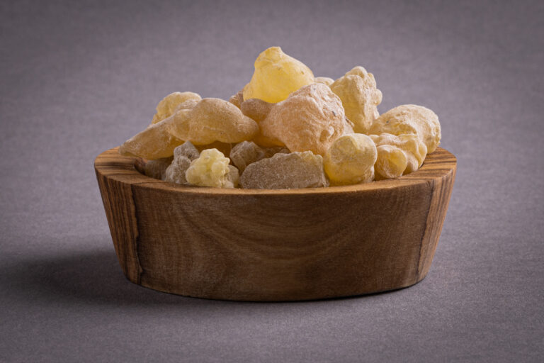 Oman Ecclesia (Boswellia sacra)